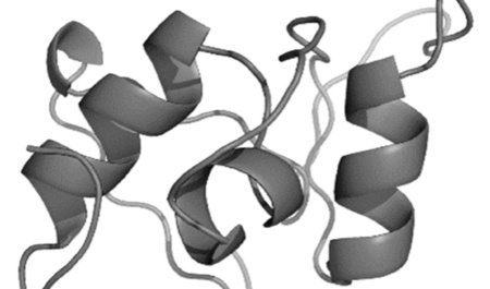 US Patent Application توسط عضو محترم هیات علمی گروه آموزشی شیمی دانشگاه نیشابور