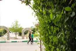اسلاید آموزشی